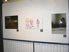 Arte Laguna 07 - Ausstellung der Finalisten in Mogliano Veneto
